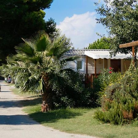 Mobil-Home Neuf 2021 3Ch 34 M2 Saint-Cyprien  Eksteriør billede